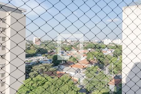 Apartamento à venda com 217m², 4 quartos e 4 vagasVista da Varanda