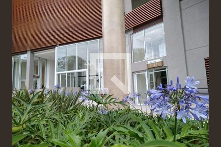 Apartamento para alugar com 2 quartos, 62m² em Butantã, São Paulo
