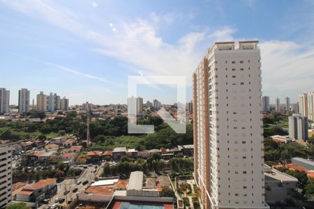 Apartamento para alugar com 4 quartos, 184m² em Cambuí, Campinas