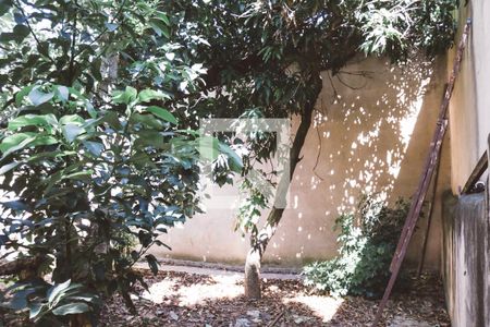 Casa à venda com 150m², 3 quartos e 3 vagasQuintal