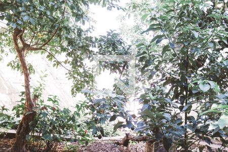 Casa à venda com 150m², 3 quartos e 3 vagasQuintal