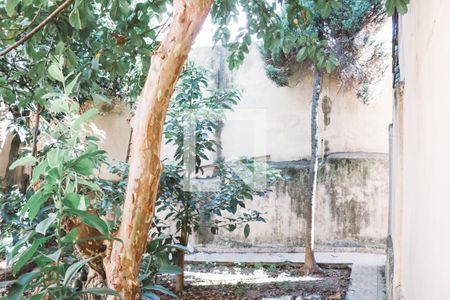 Casa à venda com 150m², 3 quartos e 3 vagasQuintal