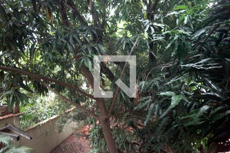 Casa à venda com 250m², 3 quartos e 2 vagasCloset Vista