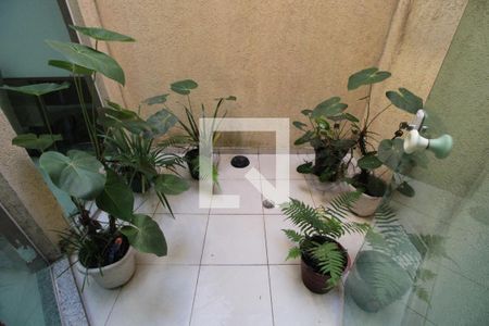 Sala - jardim de inverno de casa para alugar com 3 quartos, 116m² em Vila Guilhermina, São Paulo