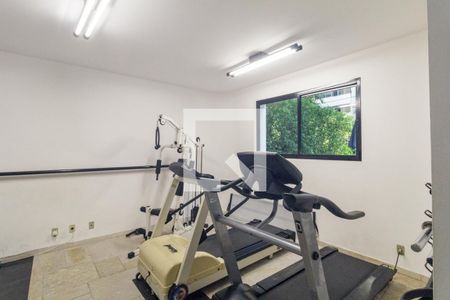 Apartamento à venda com 270m², 4 quartos e 3 vagasÁrea comum - Academia