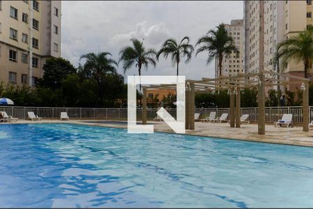 Área comum - Piscina de apartamento para alugar com 2 quartos, 44m² em Gopoúva, Guarulhos