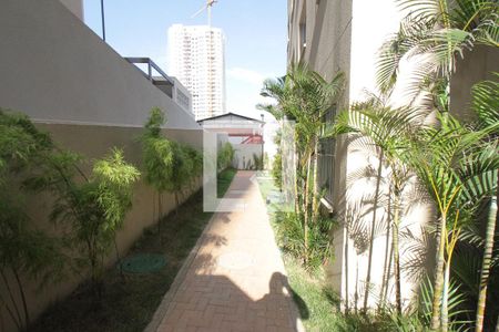 Apartamento para alugar com 34m², 2 quartos e sem vagaÁrea comun