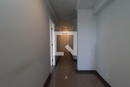 Corredor  de apartamento para alugar com 4 quartos, 132m² em Vila Seixas, Ribeirão Preto