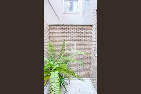 Casa para alugar com 212m², 3 quartos e 2 vagasJardim de Inverno