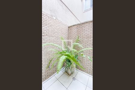 Casa para alugar com 212m², 3 quartos e 2 vagasJardim de Inverno