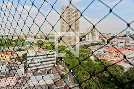 Vista de apartamento para alugar com 3 quartos, 92m² em Parque São Domingos, São Paulo