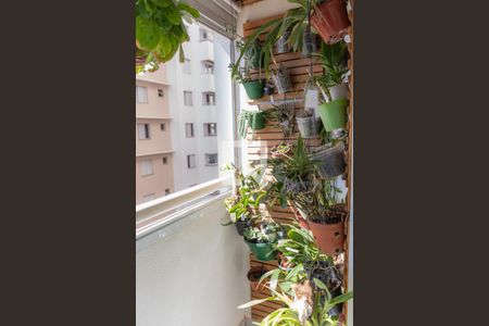 Varanda de apartamento à venda com 2 quartos, 50m² em Jaguaré, São Paulo