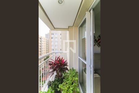 Varanda da Sala de apartamento à venda com 2 quartos, 56m² em Vila Sonia do Taboao, Taboão da Serra