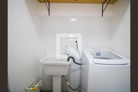 Cozinha - Tanque de apartamento para alugar com 2 quartos, 34m² em Vila Guilherme, São Paulo