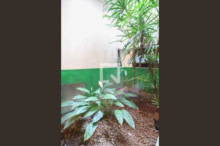 Casa à venda com 450m², 3 quartos e 2 vagasQuintal