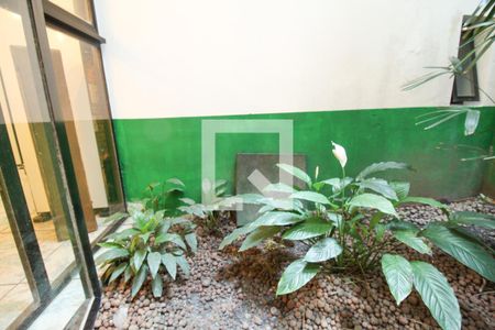 Casa à venda com 450m², 3 quartos e 2 vagasQuintal