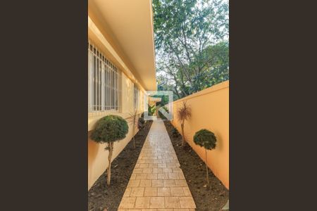 Casa à venda com 568m², 4 quartos e 3 vagasCorredor Lateral