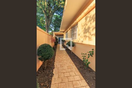 Casa à venda com 568m², 4 quartos e 3 vagasCorredor Lateral