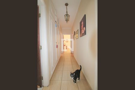 Casa à venda com 350m², 3 quartos e 4 vagasCorredor