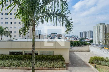 Vista Sala de apartamento para alugar com 2 quartos, 55m² em Piqueri, São Paulo