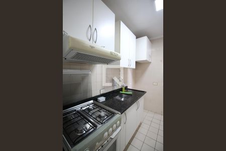 Cozinha de apartamento para alugar com 3 quartos, 78m² em Jardim Santa Ines, São Paulo