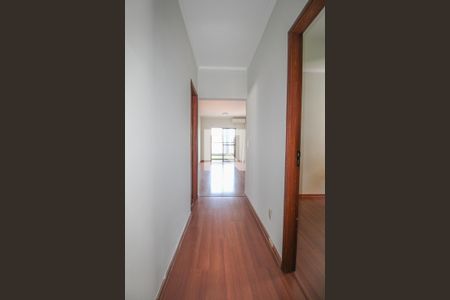 Corredor de apartamento à venda com 3 quartos, 85m² em Vila Itapura, Campinas