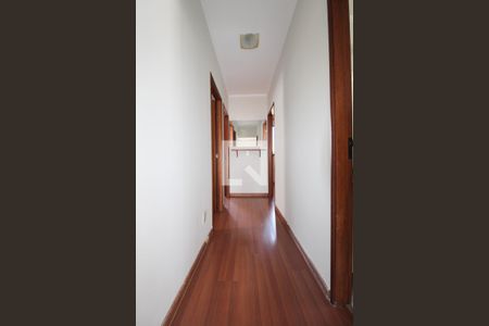 Corredor de apartamento à venda com 3 quartos, 85m² em Vila Itapura, Campinas