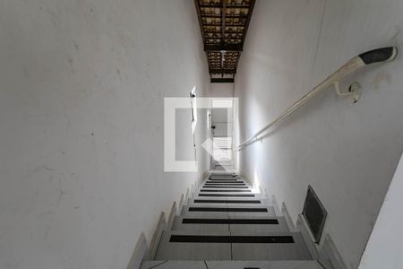 Área Comum - Corredor de apartamento para alugar com 1 quarto, 60m² em Vila Cintra, Mogi das Cruzes
