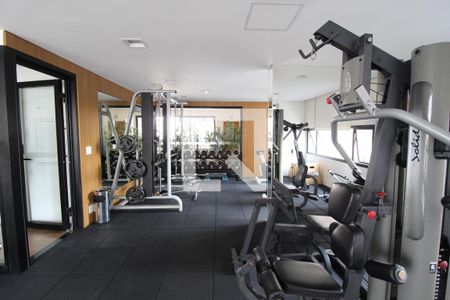 Apartamento para alugar com 62m², 1 quarto e 1 vagaÁrea Comum - Academia