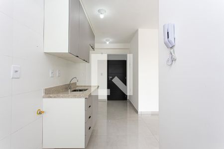 Cozinha de apartamento para alugar com 2 quartos, 43m² em Cidade Antônio Estevão de Carvalho, São Paulo