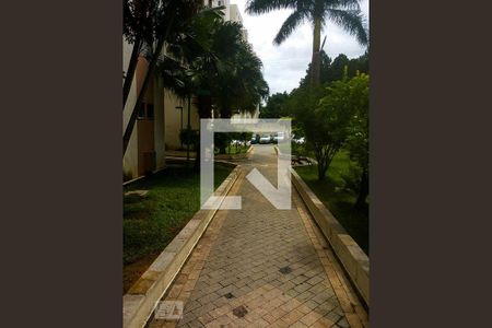 Apartamento para alugar com 51m², 2 quartos e 1 vaga Apartamento para alugar com 51m², 2 quartos e 1 vagaÁrea comum