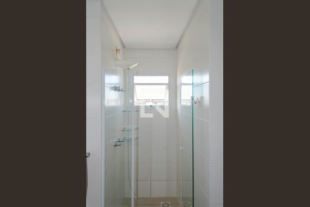 Banheiro de apartamento para alugar com 1 quarto, 94m² em Campeche, Florianópolis