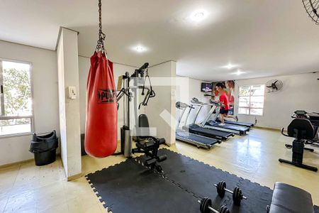 Apartamento para alugar com 50m², 2 quartos e 1 vaga Apartamento para alugar com 50m², 2 quartos e 1 vagaÁrea comum - Academia