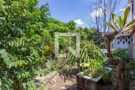 Casa para alugar com 300m², 4 quartos e sem vagaQuintal