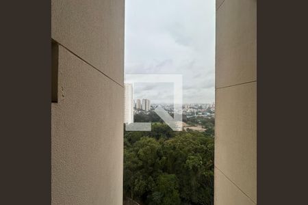 Apartamento para alugar com 171m², 3 quartos e 3 vagasVista da Suíte 2