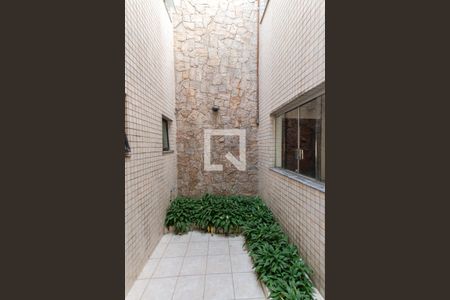 Jardim de Inverno  de casa para alugar com 4 quartos, 450m² em Vila Maria Alta, São Paulo