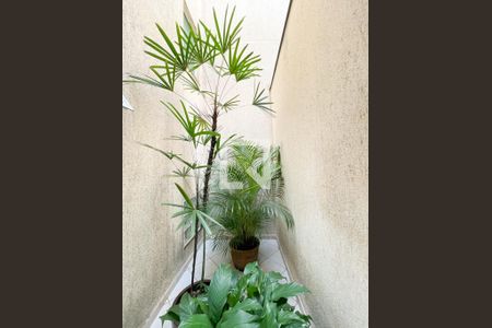 Casa à venda com 200m², 3 quartos e 4 vagasJardim de Inverno