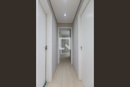 Corredor  de apartamento para alugar com 2 quartos, 46m² em Vila Carmosina, São Paulo