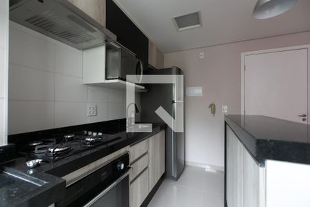 Cozinha - Armários de apartamento para alugar com 2 quartos, 46m² em Vila Carmosina, São Paulo