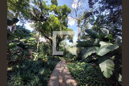 Apartamento à venda com 411m², 3 quartos e 3 vagasBosque