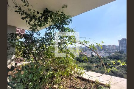 Apartamento à venda com 411m², 3 quartos e 3 vagasVaranda - Quarto 1