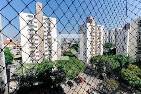 Vista da Varanda de apartamento à venda com 2 quartos, 53m² em Jardim Umarizal, São Paulo