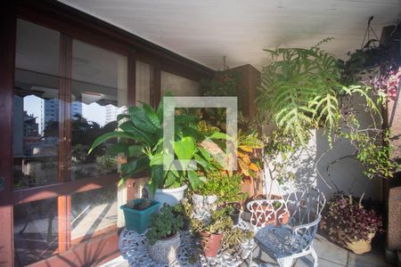 Sala - Varanda de apartamento à venda com 3 quartos, 300m² em Petrópolis, Porto Alegre