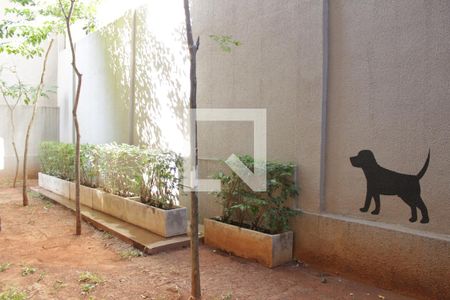 Studio para alugar com 24m², 1 quarto e sem vagaEspaço Pet