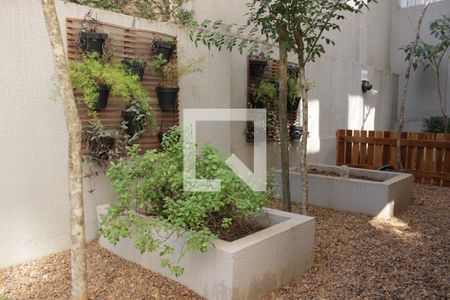 Studio para alugar com 24m², 1 quarto e sem vagaHortinha