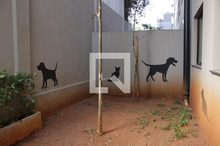 Studio para alugar com 24m², 1 quarto e sem vagaEspaço Pet