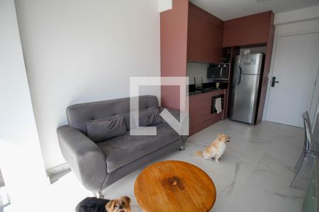 Studio para alugar com 29m², 1 quarto e sem vagaSala