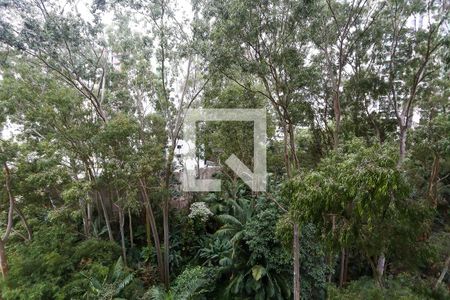 Sala vista de apartamento à venda com 2 quartos, 50m² em Vila Suzana, São Paulo