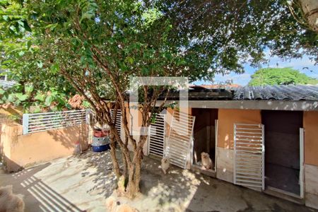 Casa à venda com 1000m², 4 quartos e 2 vagasQuintal - Fundos