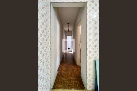 Corredor de apartamento para alugar com 2 quartos, 60m² em Vila Caiçara, Praia Grande